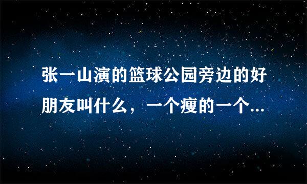 张一山演的篮球公园旁边的好朋友叫什么，一个瘦的一个胖的，那个瘦的叫什么名字