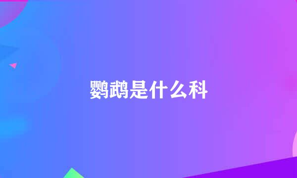 鹦鹉是什么科