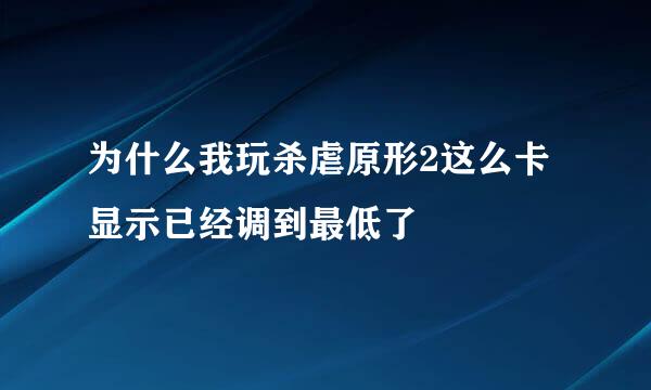 为什么我玩杀虐原形2这么卡 显示已经调到最低了