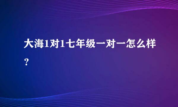 大海1对1七年级一对一怎么样？