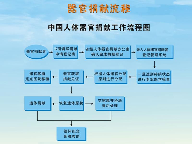 器官捐献在哪申请？ 怎么个流程？