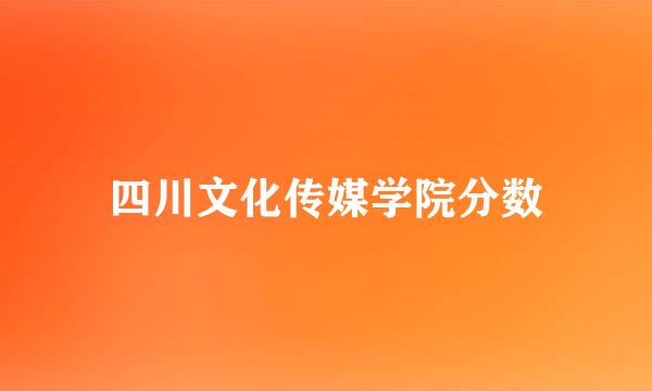 四川文化传媒学院分数