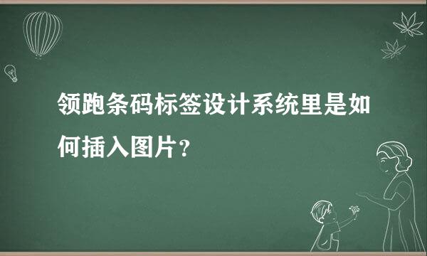 领跑条码标签设计系统里是如何插入图片？