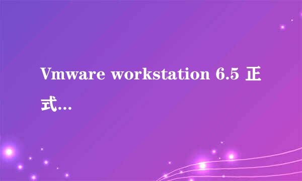 Vmware workstation 6.5 正式版 怎么改中文？
