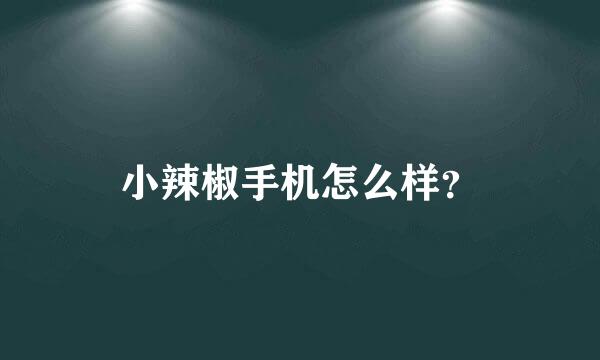 小辣椒手机怎么样？