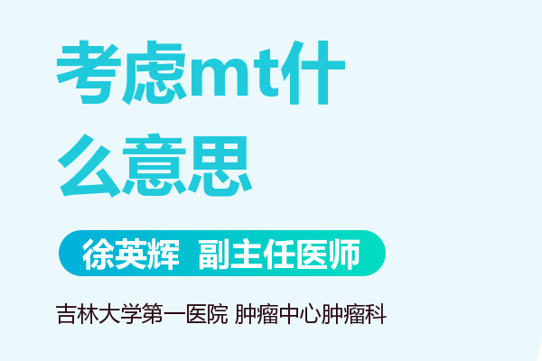 mt是什么意思?