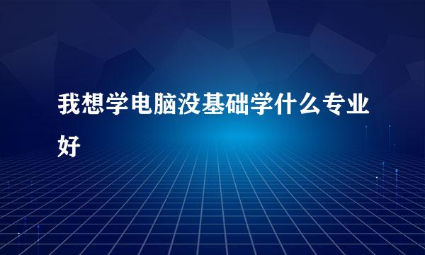 我想学电脑没基础学什么专业好