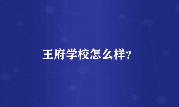 王府学校怎么样？