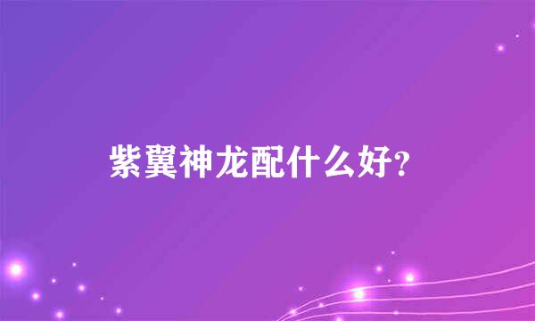 紫翼神龙配什么好？