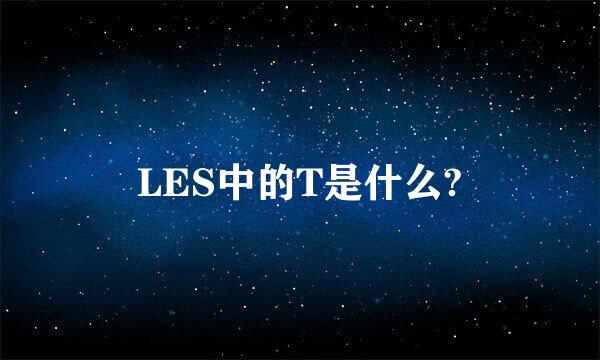 LES中的T是什么?