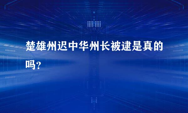 楚雄州迟中华州长被逮是真的吗？