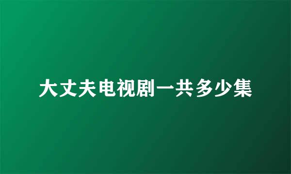 大丈夫电视剧一共多少集