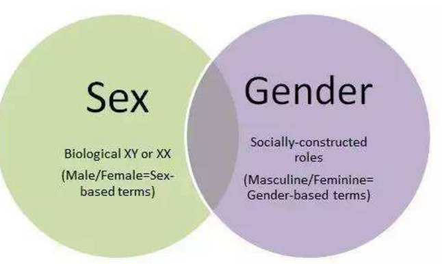 sex 与gender的区别？