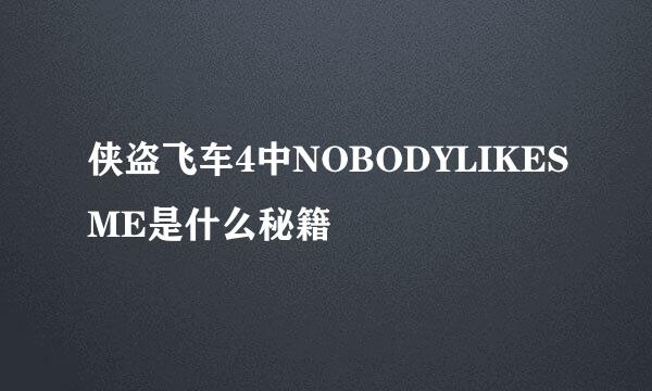 侠盗飞车4中NOBODYLIKESME是什么秘籍