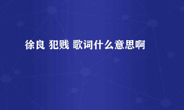 徐良 犯贱 歌词什么意思啊