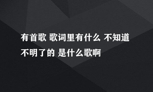 有首歌 歌词里有什么 不知道不明了的 是什么歌啊