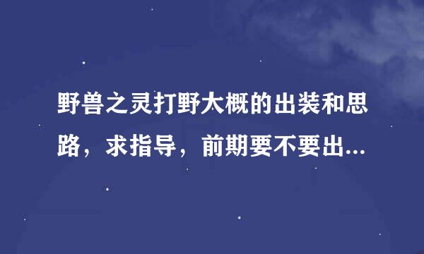 野兽之灵打野大概的出装和思路，求指导，前期要不要出工资装？