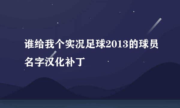 谁给我个实况足球2013的球员名字汉化补丁