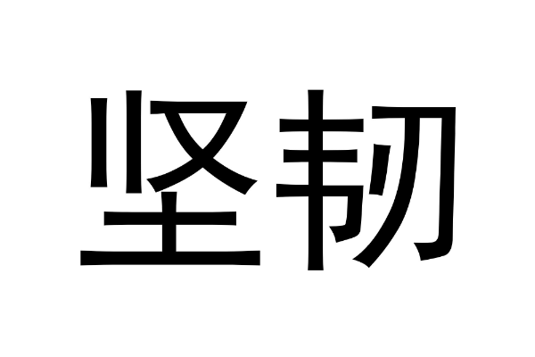 坚韧的拼音 字词