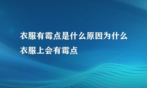 衣服有霉点是什么原因为什么衣服上会有霉点