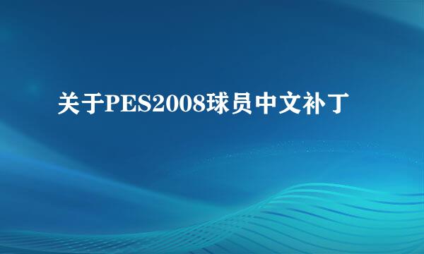 关于PES2008球员中文补丁