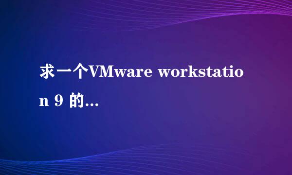 求一个VMware workstation 9 的序列号， 要linux的，我找WINDOWs的好像不行。。激活不了