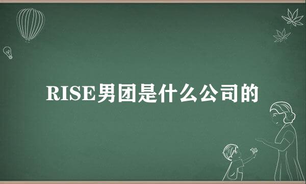 RISE男团是什么公司的