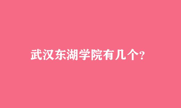 武汉东湖学院有几个？