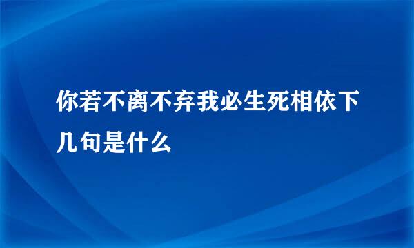 你若不离不弃我必生死相依下几句是什么