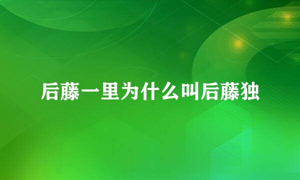 后藤一里为什么叫后藤独