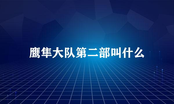 鹰隼大队第二部叫什么