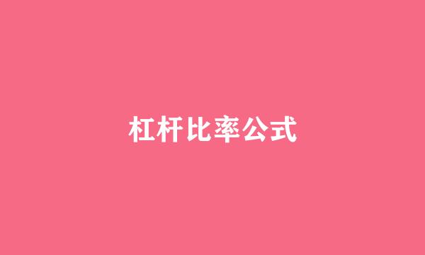 杠杆比率公式