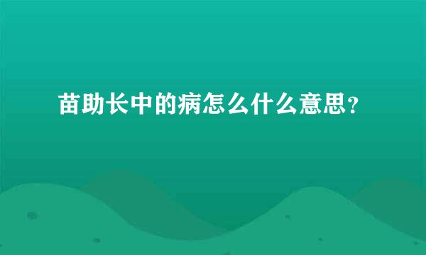 苗助长中的病怎么什么意思？