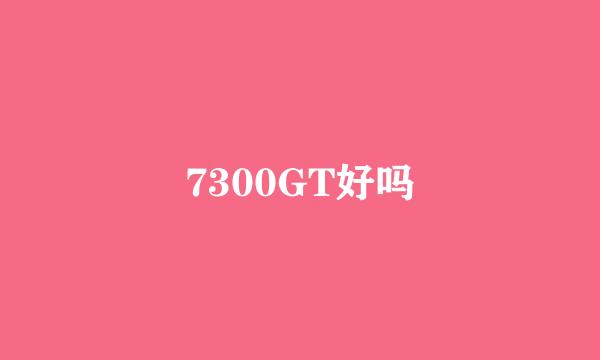 7300GT好吗