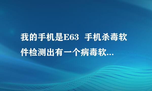 我的手机是E63  手机杀毒软件检测出有一个病毒软件  可是这个软件删不了  而且下的软件还安装不了  说...