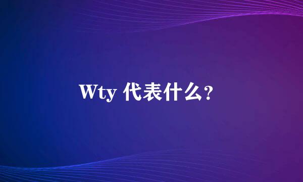 Wty 代表什么？