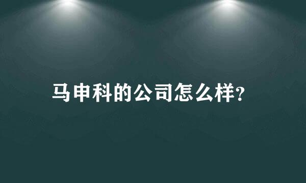 马申科的公司怎么样？