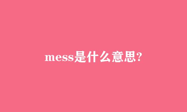 mess是什么意思?