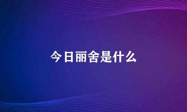 今日丽舍是什么