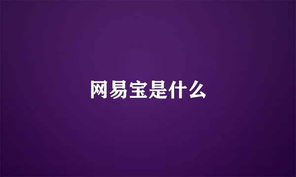 网易宝是什么