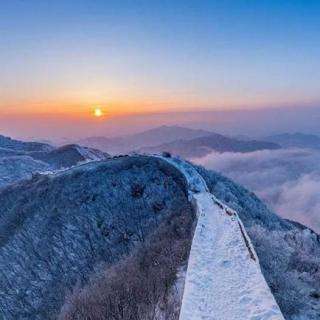 雪落在中国的土地上的主旨是什么？