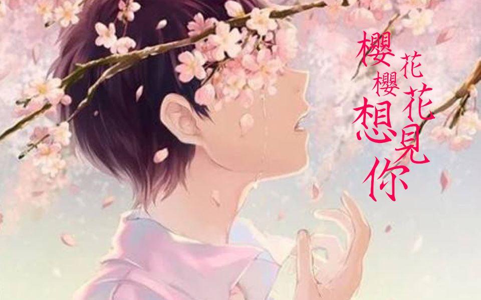 《樱花樱花想见你》中文谐音歌词是什么？