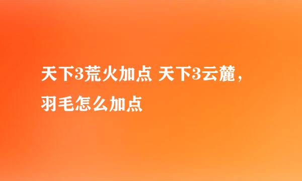 天下3荒火加点 天下3云麓，羽毛怎么加点