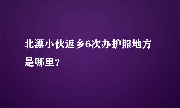 北漂小伙返乡6次办护照地方是哪里？