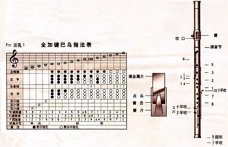 巴乌指法