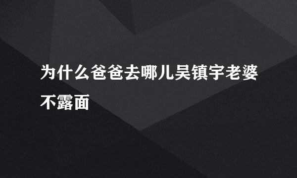 为什么爸爸去哪儿吴镇宇老婆不露面