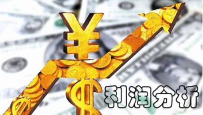 net profit 和gross profit意思相同吗