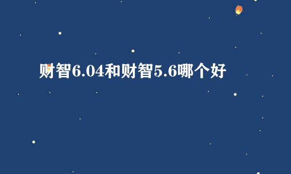 财智6.04和财智5.6哪个好