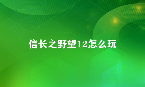 信长之野望12怎么玩