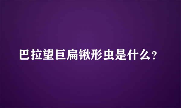 巴拉望巨扁锹形虫是什么？